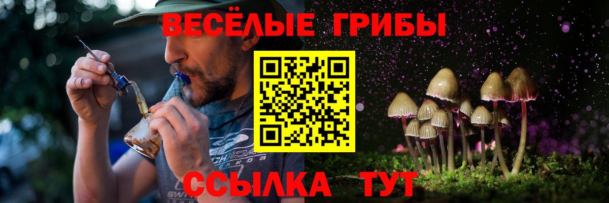 Псилоцибиновые грибы GOLDEN TEACHER Урай